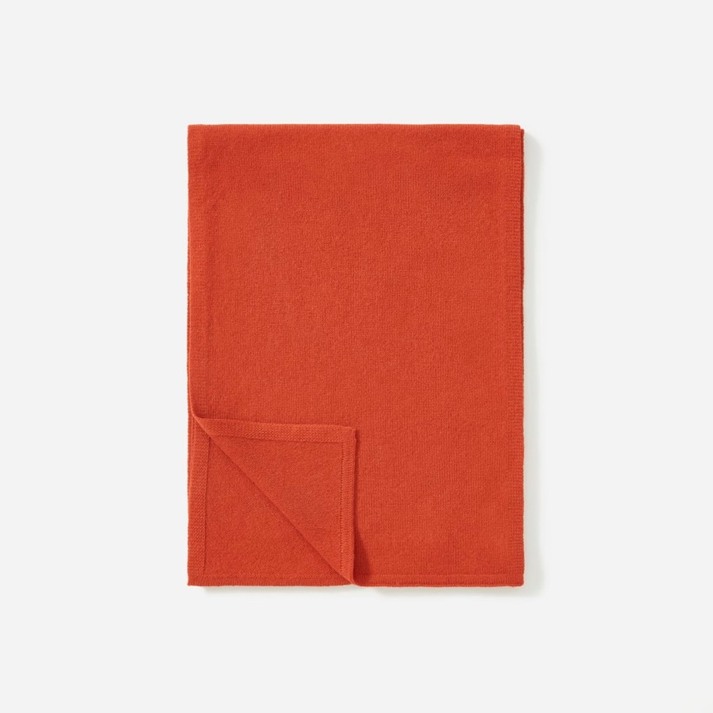 Everlane Cashmere 🧣 (x2!)